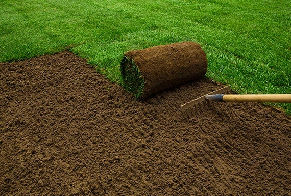 Commercial and Residential Sod Installation Services