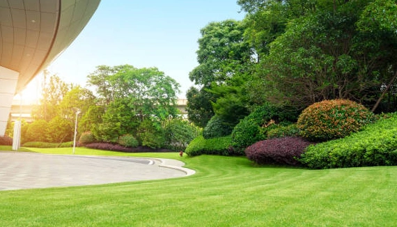 Landscaping Company For Installation Wilmington Island SC
